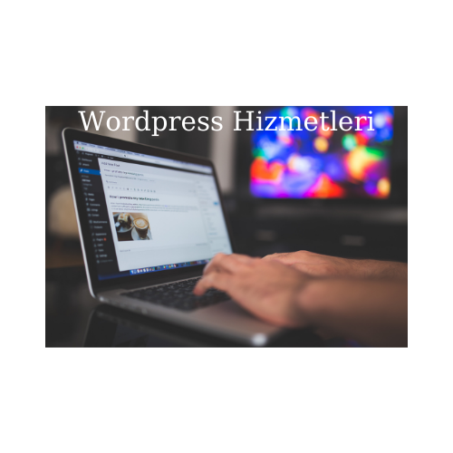 Wordpress-Hizmetleri-1.png